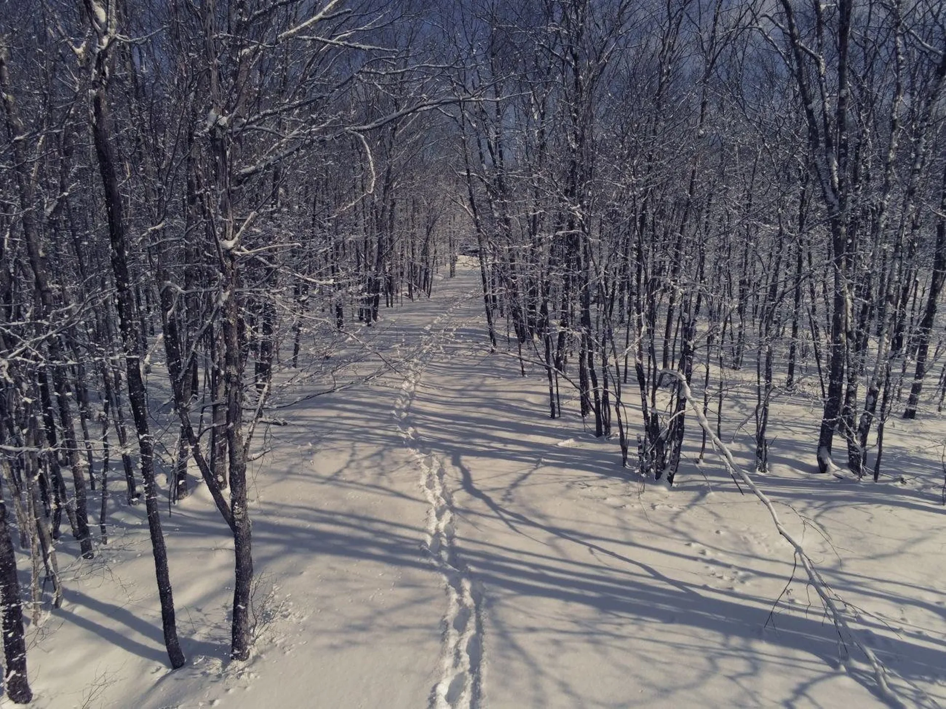 0 Earls Lane Lempster NH 03605