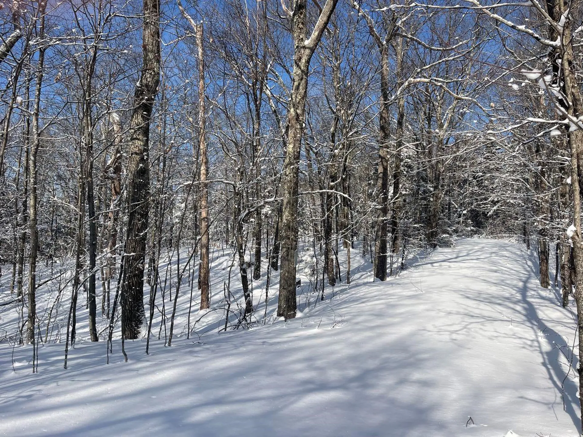 0 Earls Lane Lempster NH 03605