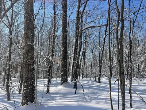 0 Earls Lane Lempster NH 03605