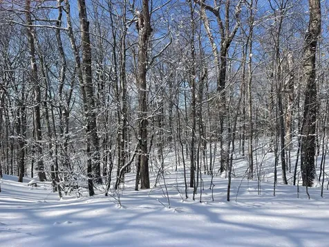 0 Earls Lane Lempster NH 03605