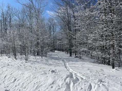 0 Earls Lane Lempster NH 03605