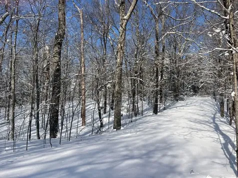 0 Earls Lane Lempster NH 03605