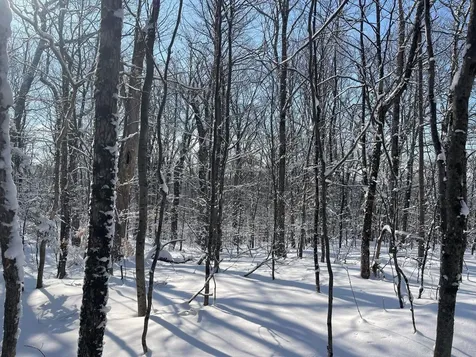 0 Earls Lane Lempster NH 03605