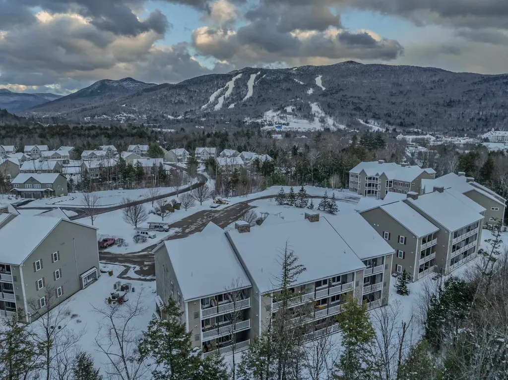 8 Twin Tip Terrace Lincoln NH 03251