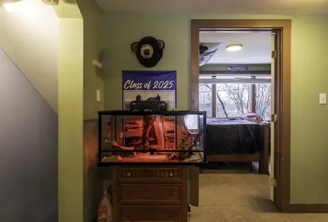 335 Grove Street Brandon VT 05733