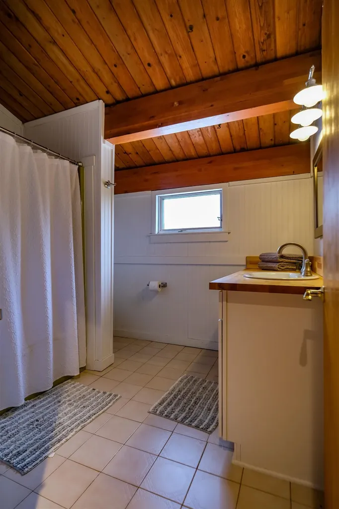 609 Alpine Drive Mount Holly VT 05758