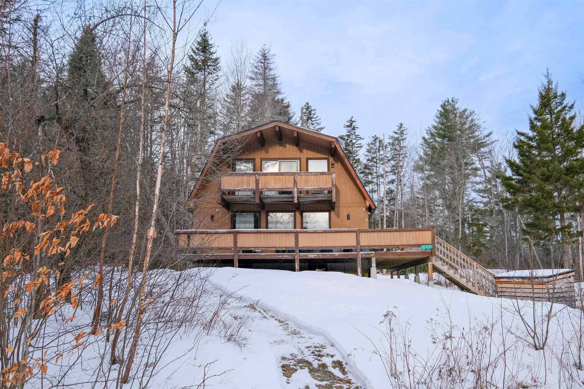 609 Alpine Drive Mount Holly VT 05758