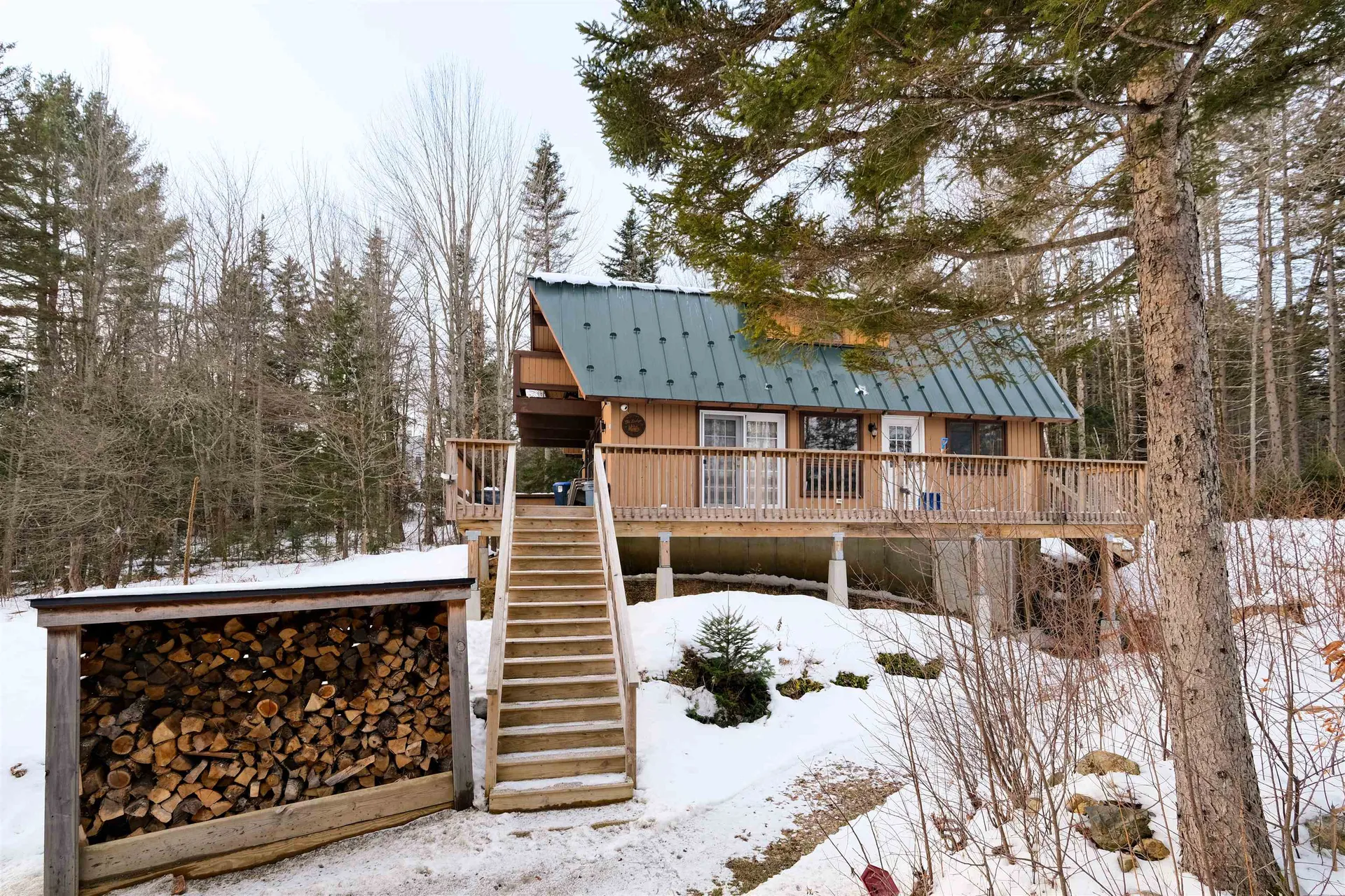 609 Alpine Drive Mount Holly VT 05758