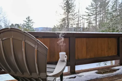 609 Alpine Drive Mount Holly VT 05758