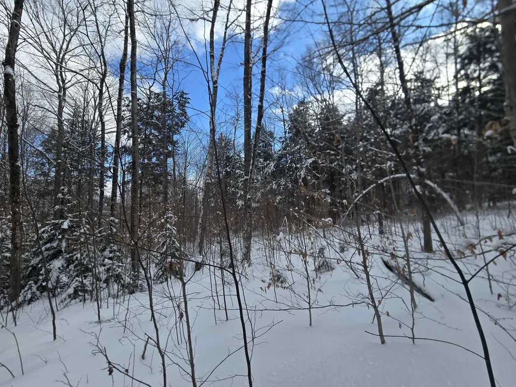 Tbd Farrar Road Chester VT 05143