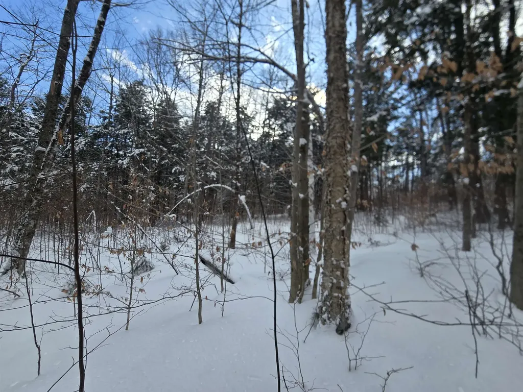 Tbd Farrar Road Chester VT 05143