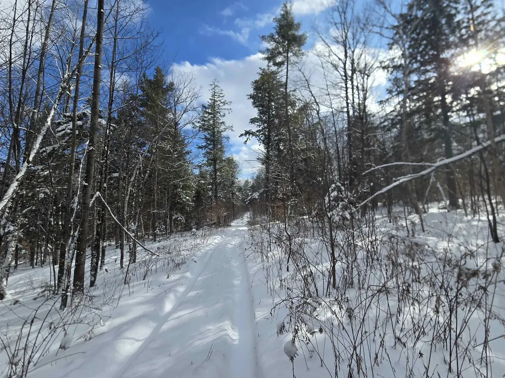 Tbd Farrar Road Chester VT 05143