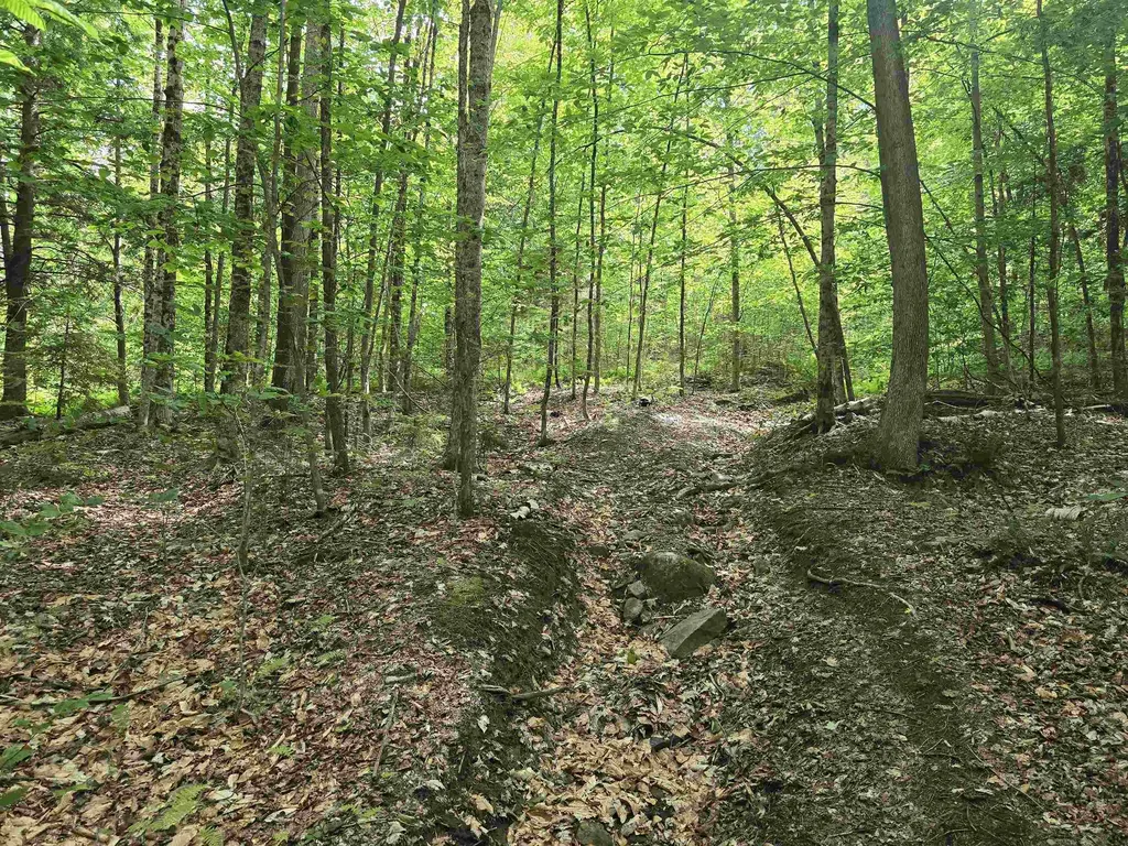 Tbd Farrar Road Chester VT 05143