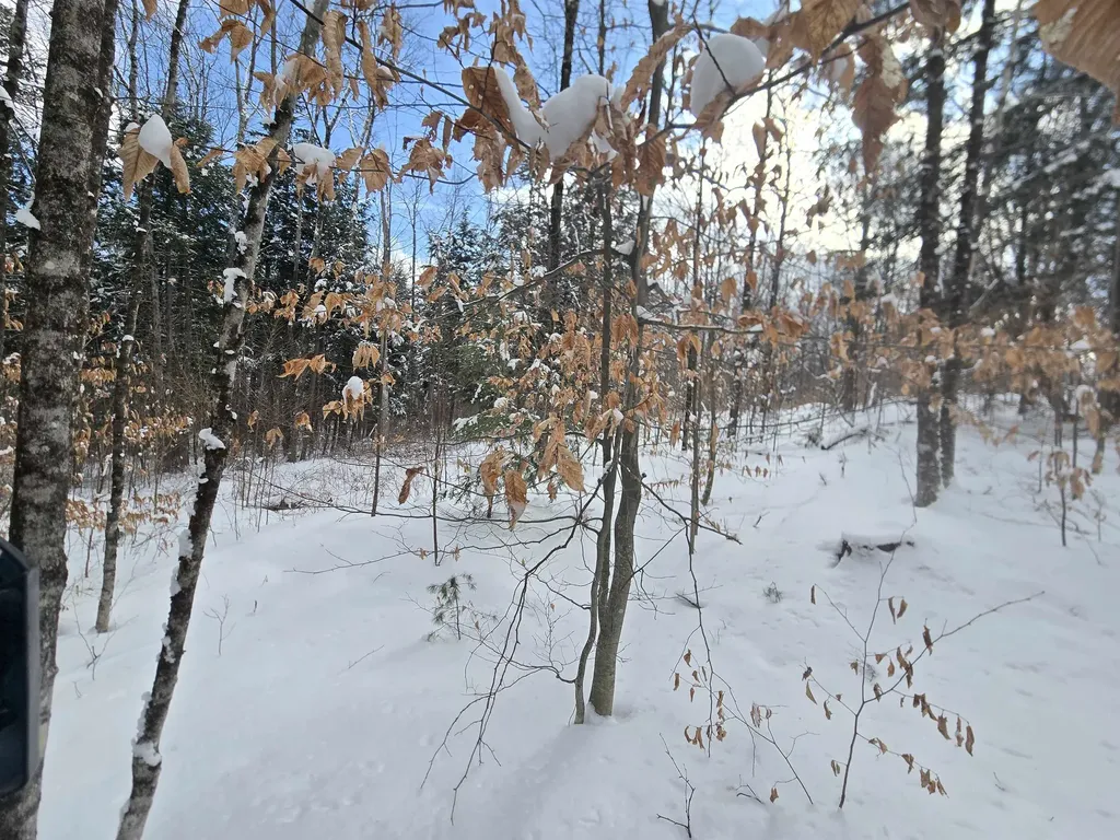 Tbd Farrar Road Chester VT 05143