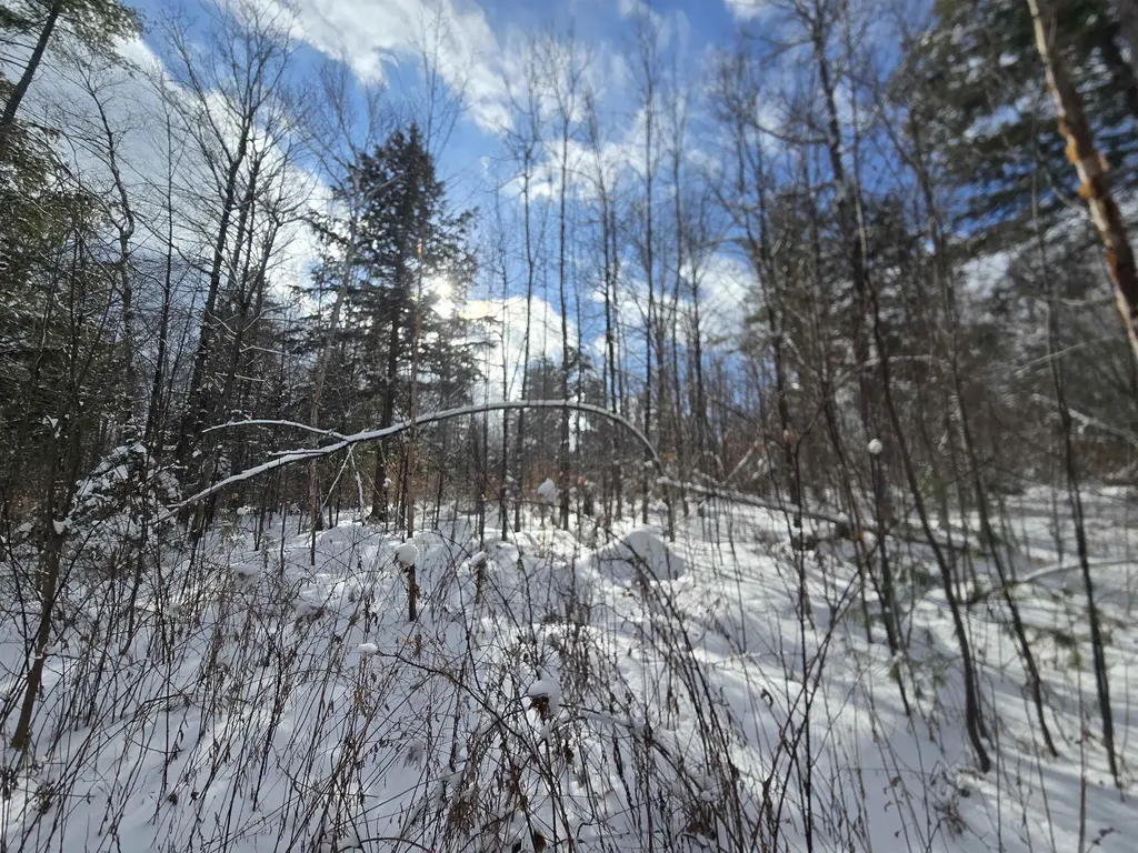 Tbd Farrar Road Chester VT 05143