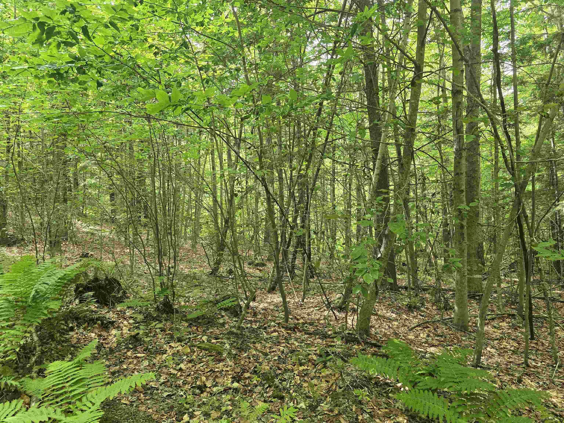 Tbd Farrar Road Chester VT 05143