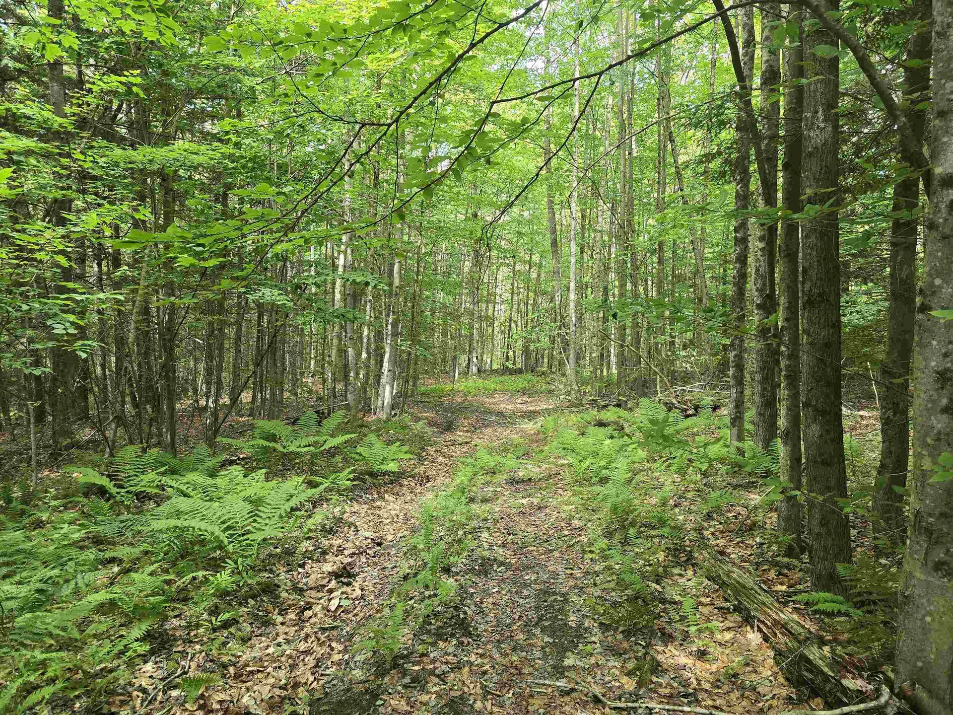 Tbd Farrar Road Chester VT 05143