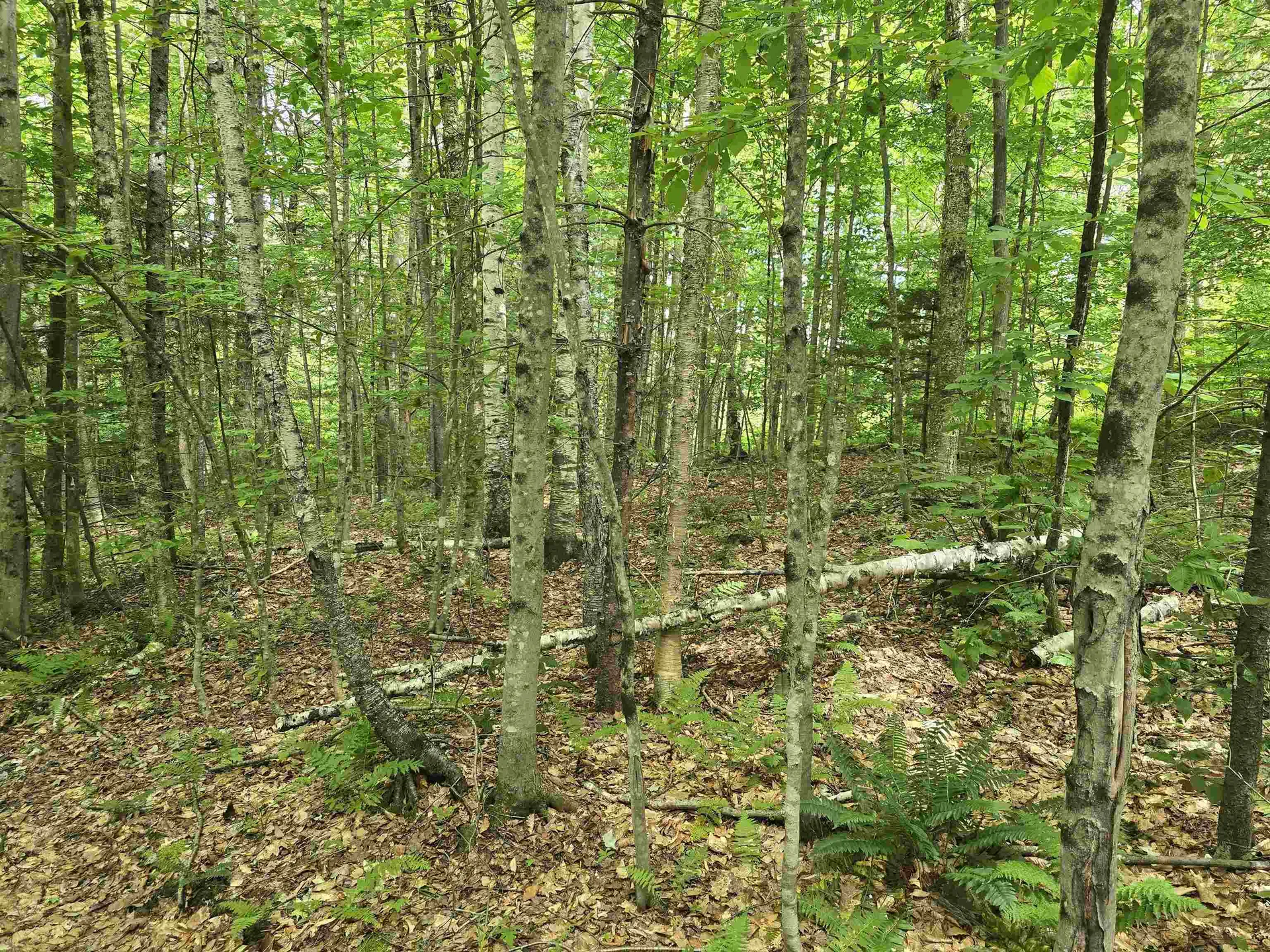 Tbd Farrar Road Chester VT 05143