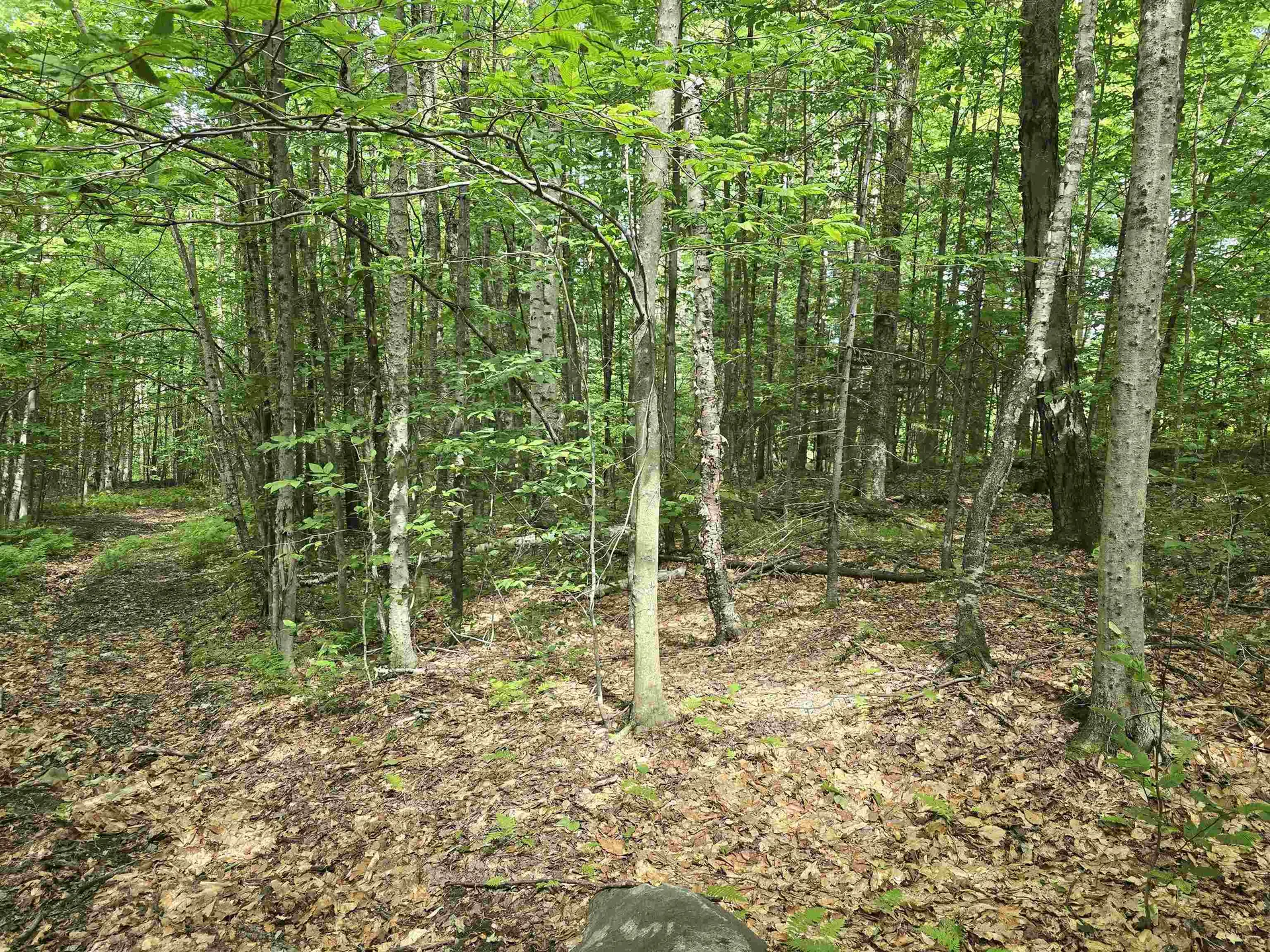 Tbd Farrar Road Chester VT 05143