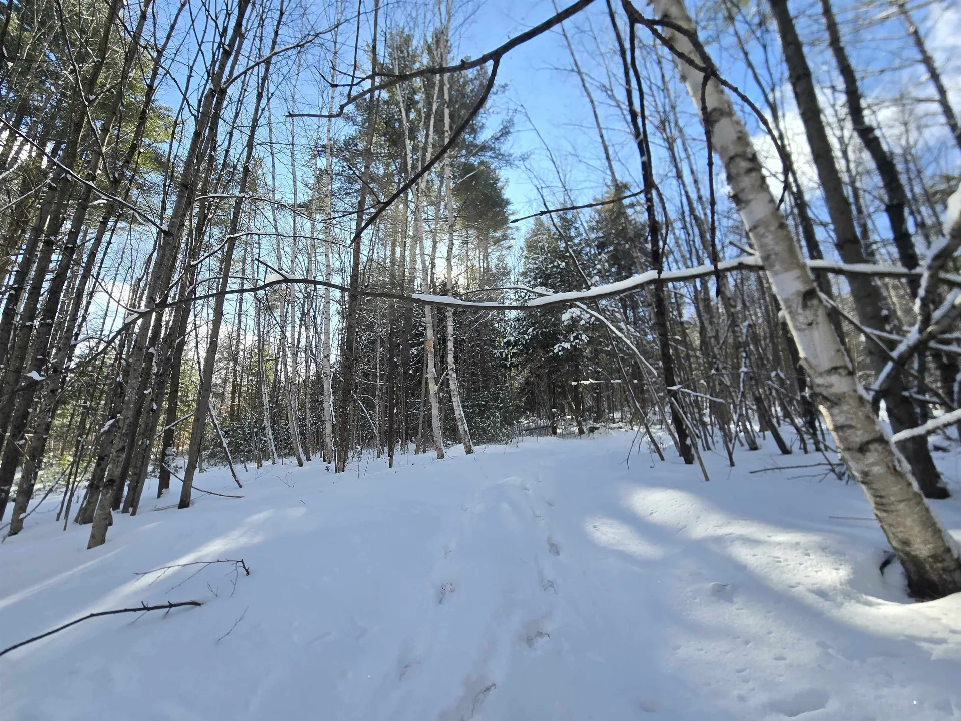 Tbd Farrar Road Chester VT 05143