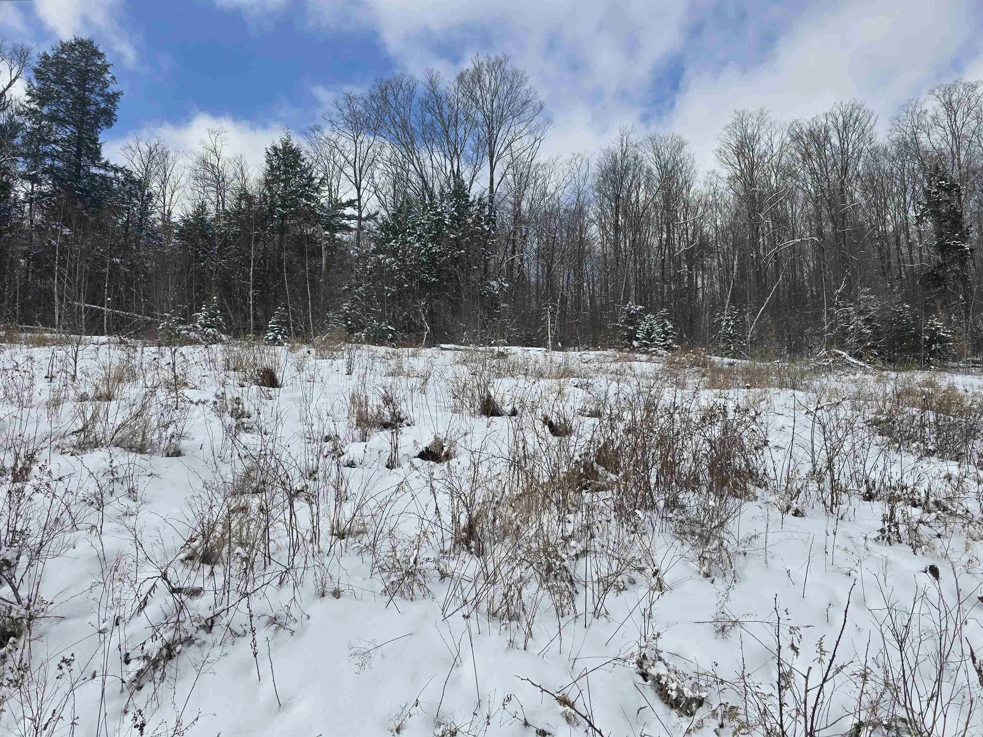Tbd Farrar Road Chester VT 05143