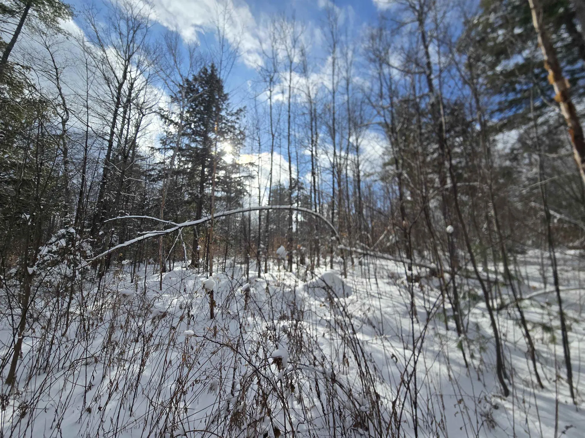 Tbd Farrar Road Chester VT 05143