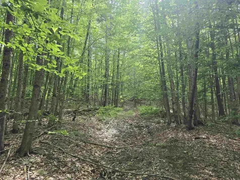 Tbd Farrar Road Chester VT 05143