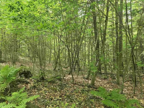 Tbd Farrar Road Chester VT 05143