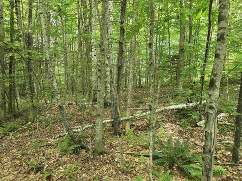 Tbd Farrar Road Chester VT 05143