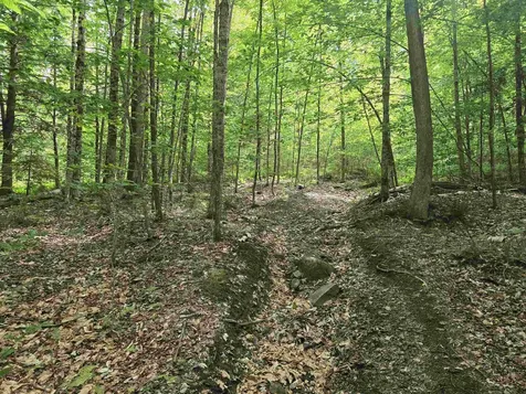 Tbd Farrar Road Chester VT 05143