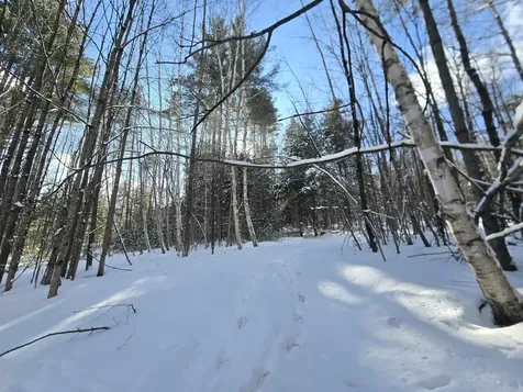 Tbd Farrar Road Chester VT 05143