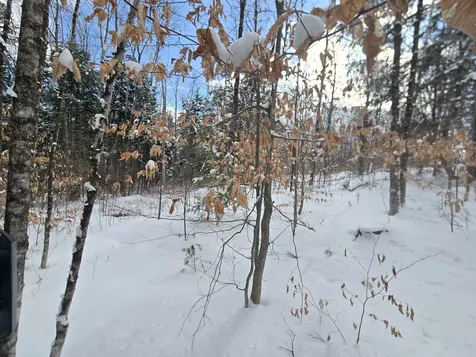 Tbd Farrar Road Chester VT 05143