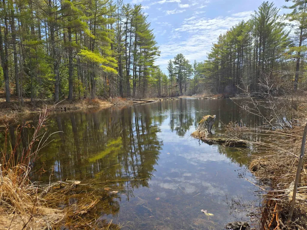 179 Chickville Road Ossipee NH 03864
