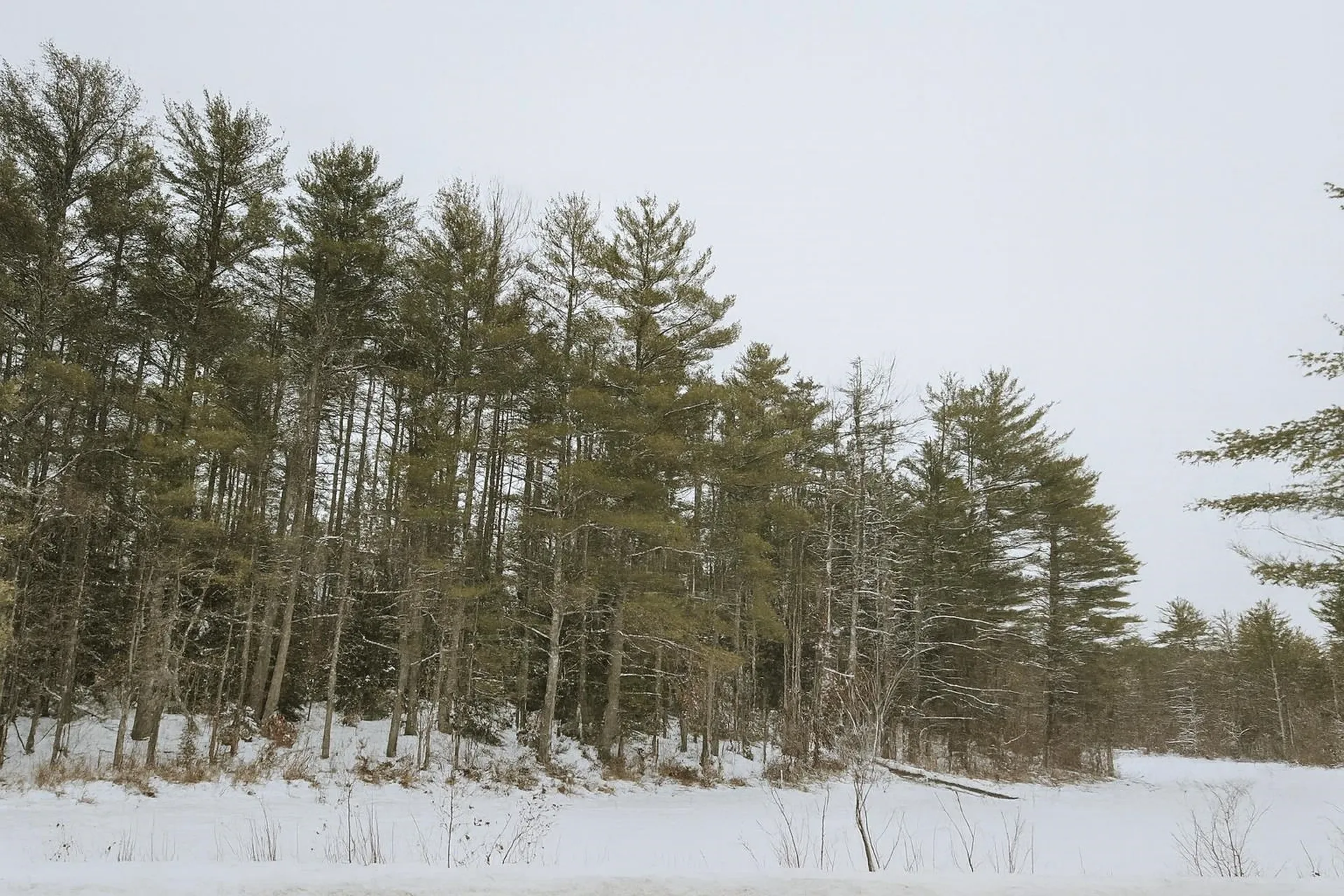 179 Chickville Road Ossipee NH 03864