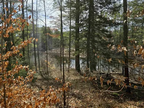 179 Chickville Road Ossipee NH 03864