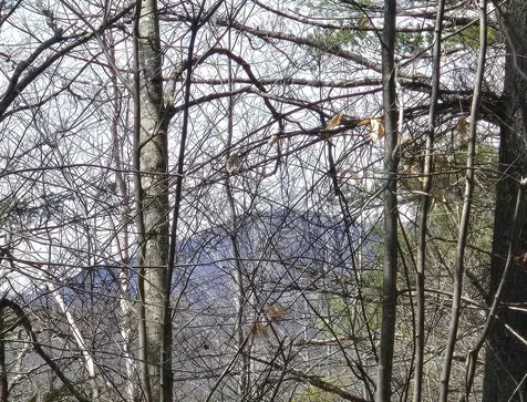 179 Chickville Road Ossipee NH 03864