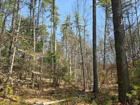 179 Chickville Road Ossipee NH 03864