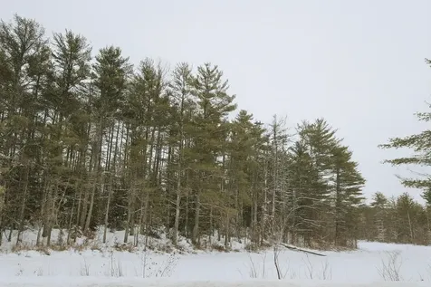 179 Chickville Road Ossipee NH 03864