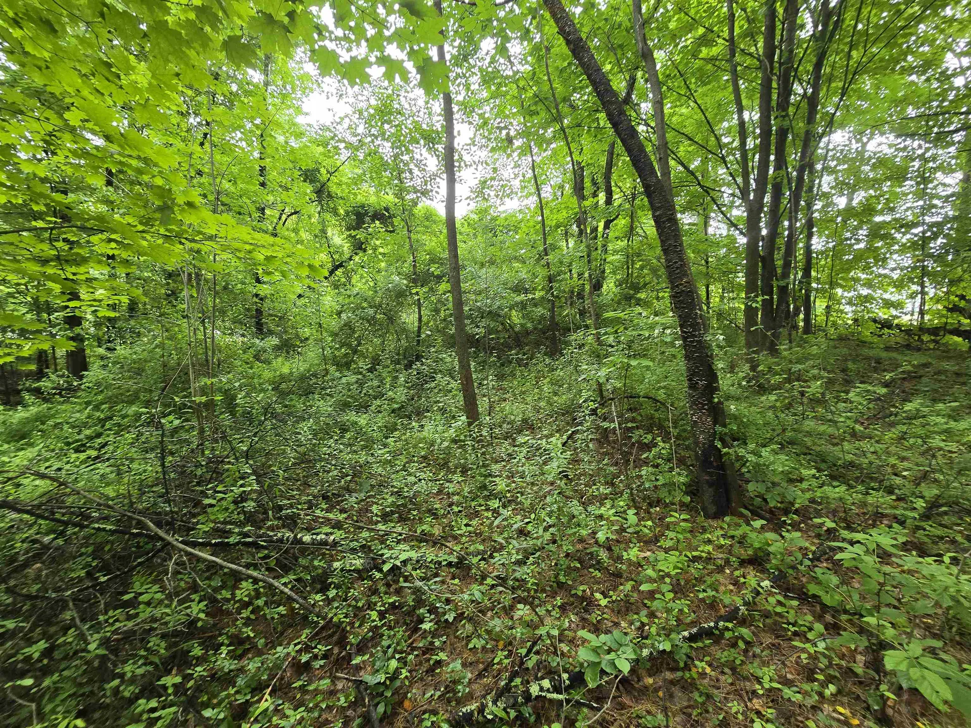 0 Estes Road Rochester NH 03839