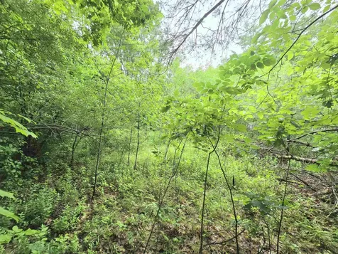 0 Estes Road Rochester NH 03839