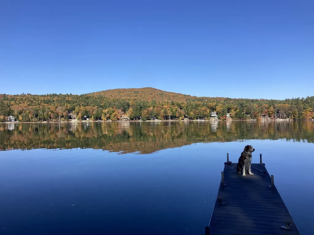 163 North Shore Road New Durham NH 03855