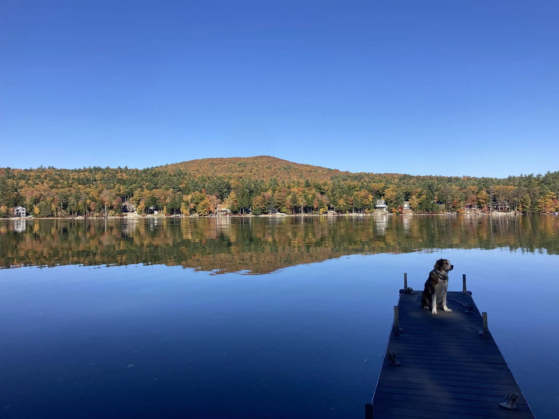 163 North Shore Road New Durham NH 03855