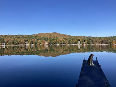 163 North Shore Road New Durham NH 03855