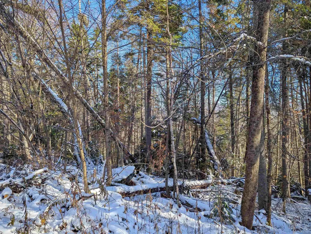 Majestic View Drive Waterford VT 05819