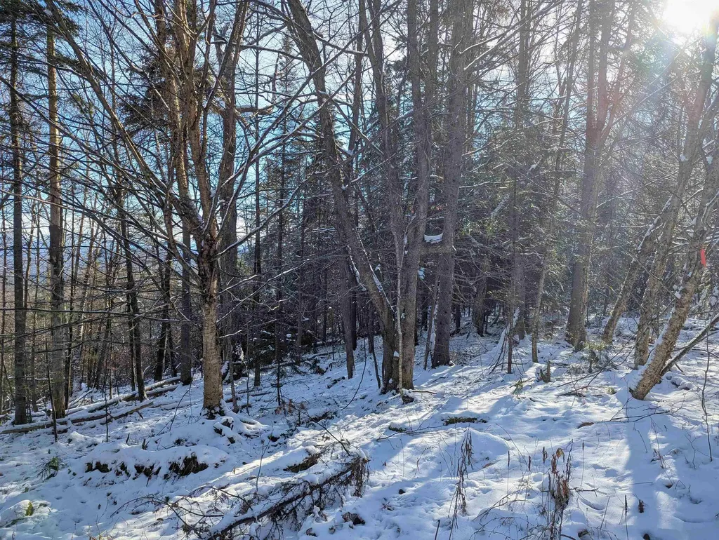 Majestic View Drive Waterford VT 05819