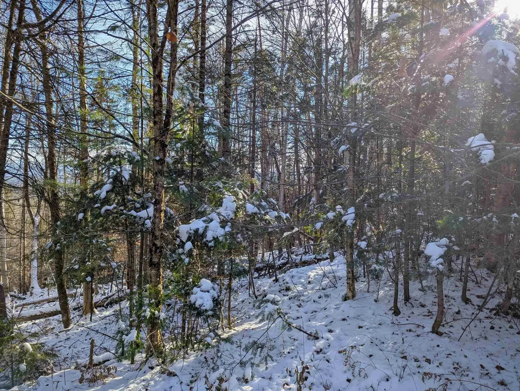 Majestic View Drive Waterford VT 05819