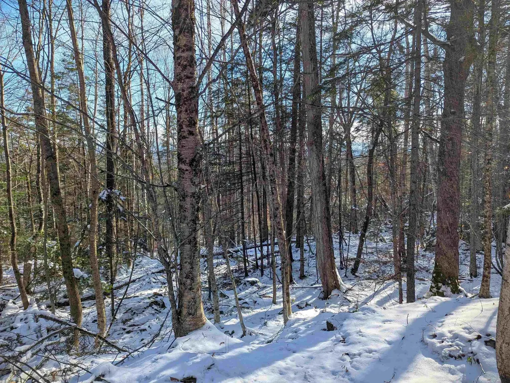 Majestic View Drive Waterford VT 05819