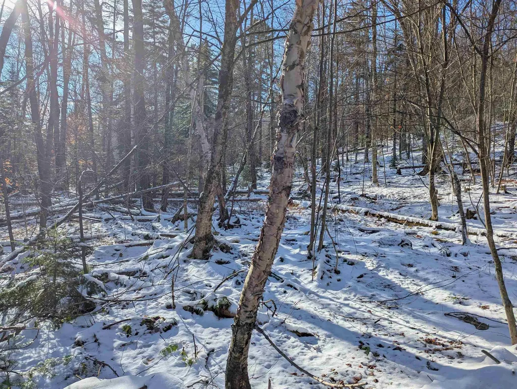 Majestic View Drive Waterford VT 05819