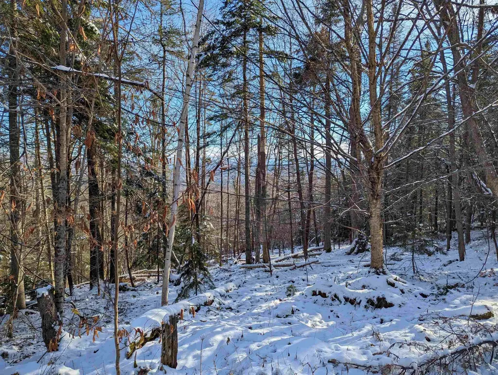 Majestic View Drive Waterford VT 05819