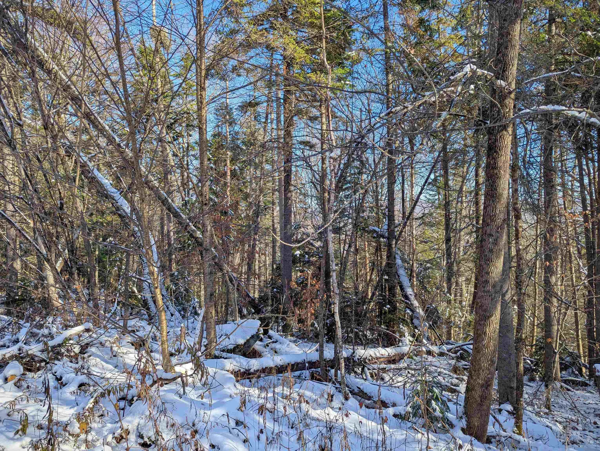 Majestic View Drive Waterford VT 05819